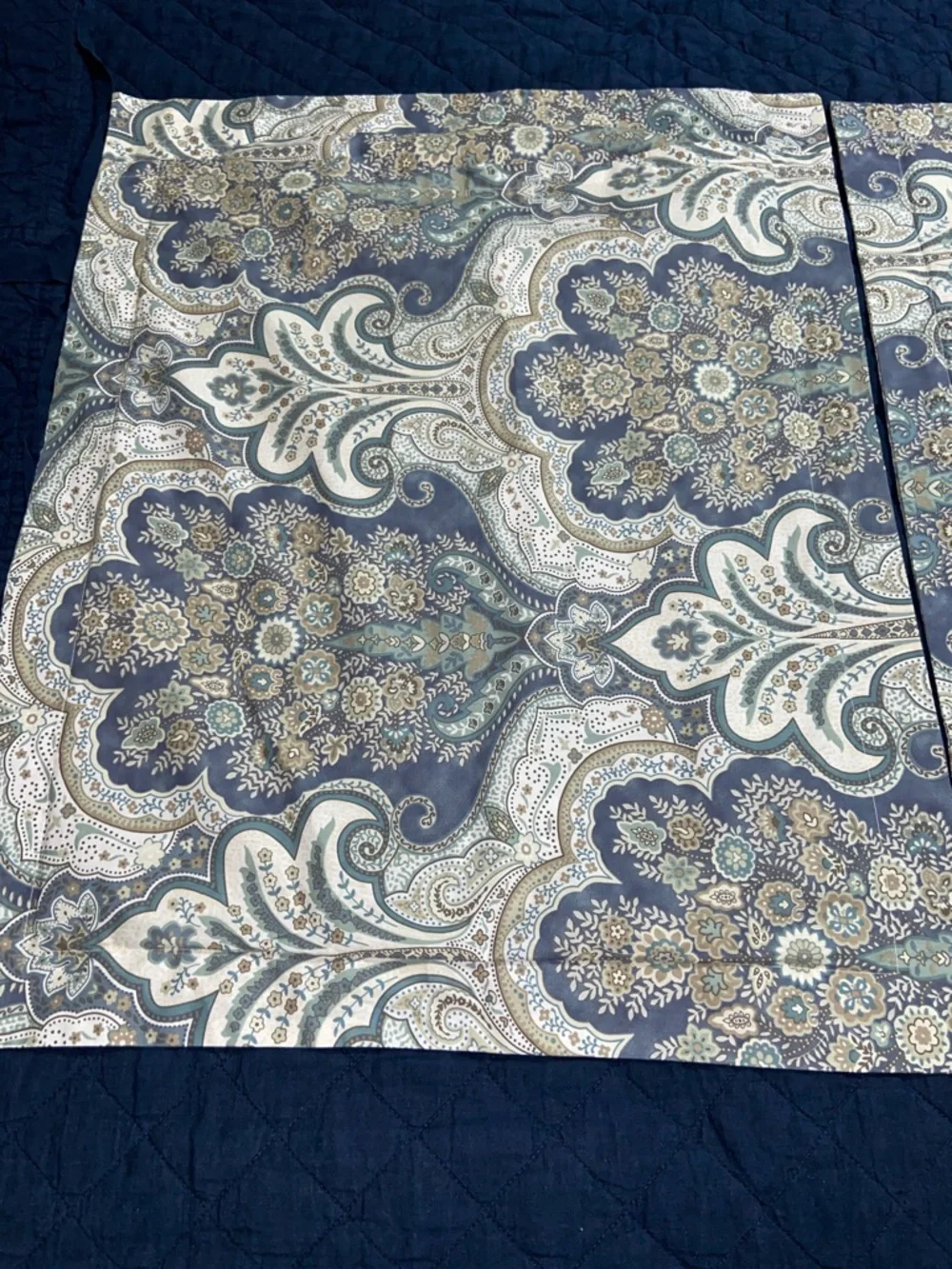 Like new Pottery Barn Jordana Paisley Standard Pillow Shams